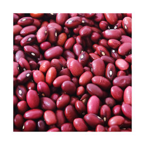 Haricots rouges fiables en stock pour une offre de qualité supérieure et des achats en gros - Product Image 4