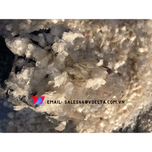 ÉCHELLE DE POISSON SÉCHÉE POUR LES INDUSTRIES DU COLLAGÈNE DU VIET NAM // Mme Lily + 84 906927736 - Product Image 3