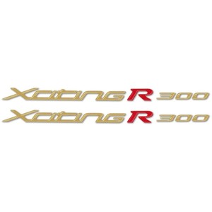 Emozionanti Adesivi in Gel 3D R 300 WRITINGS (2 Paia) Compatibili con Scooter KYMCO per Personalizzare la Tua Moto - Product Image 1
