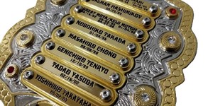 Cinturones de Campeonato Personalizados! Cinturón de Lucha Libre Internacional IWGP - Product Image 6