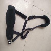Harnais pour cheval en nylon rembourré en polaire avec logo personnalisé, produit équin de haute qualité, confortable, imperméable, équipement d'équitation