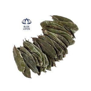 Soursop ออกจากเวียดนาม - Product Image 4