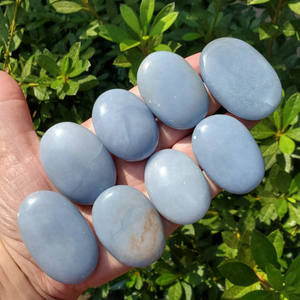 Pierres de palmier en angélite, pierres semi-précieuses, 8 pierres - Product Image 3