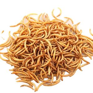 Fourniture d'usine de vers de farine Tenebrio <span class=keywords><strong>Molitor</strong></span> séchés de haute qualité pour les aliments pour animaux de compagnie pour poissons et chiens - Product Image 4