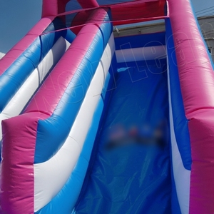 Produk baru merah muda biru penuh warna raksasa PVC Luncur tiup dengan hambatan perlindungan jalur tunggal 5x3m - Product Image 2
