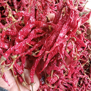 HACCP certifié biologique Guntur Sannam piment entier étanche à l'humidité emballé cru marché mondial HACCP certifié biologique Sanam rouge - Product Image 2