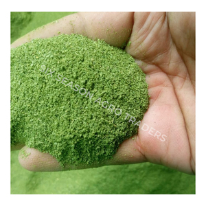 Poudre de Moringa Biologique de Qualité Supérieure, Poudre de Feuilles, Supplément Herbal du Bangladesh, Export en Gros, Fournisseur de Confiance, Distributeur - Product Image 5