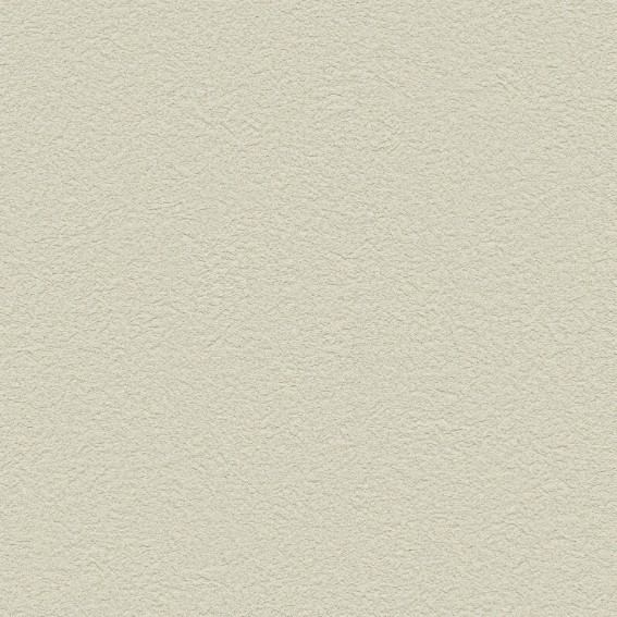 สีดำสีกากี