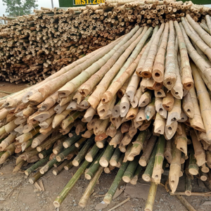 Varillas de Bambú Natural Cortadas por la Mitad para Soporte Agrícola, Jardinería y Aplicaciones de Artesanía - Product Image 2