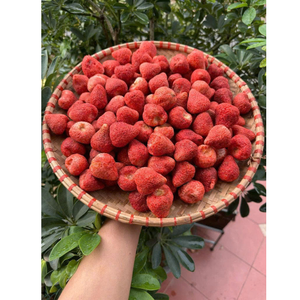 Tranches croquantes de fraises du Vietnam avec douceur naturelle et texture vibrante, exportées dans le monde entier en quantités massives - Product Image 1