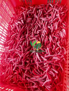 Piment congelé de haute qualité à bas prix-Fournisseur de confiance VIET THIEN PHU du Viet Nam-Emballage en vrac en forme de dés épicé chaud - Product Image 5
