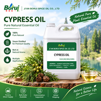 Huile Essentielle de Cyprès 100% Pure et Naturelle Distillée à la Vapeur de Feuilles de Cupressus Sempervirens, Prix de Gros, pour les Cheveux