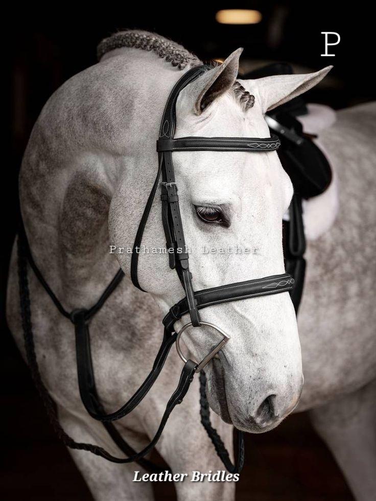 ตัวเลือกทั้งหมดที่มี