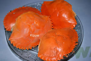 สินค้ามาใหม่ หอยเป๋าฮื้อเวียดนามสีน้ำเงินลายดอกบัว งานฝีมือแกะสลักรูปสัตว์ ตกแต่งธีมสัตว์ทะเล จากอ่าวบาเรีย-วุงเตา - Product Image 5
