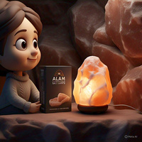 Lampe de sel de l'Himalaya rose, biologique et naturelle, certifiée HACCP, sculptée avec des motifs animaux, floraux, croix, Feng Shui et religieux, respectueuse de l'environnement