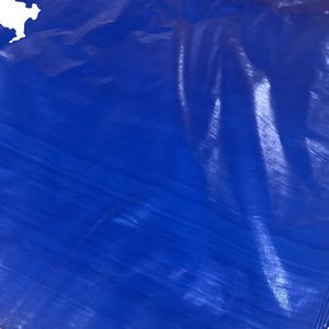 Bâche en PE de haute qualité, résistante, imperméable, protégée contre les UV, bâche en plastique pour applications industrielles extérieures - Product Image 6