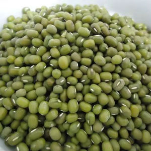 Frijoles Mung Verdes de Primera Calidad, Delicioso Sabor, Frijoles Mung Enteros en Stock, Cosecha Fresca - Product Image 2