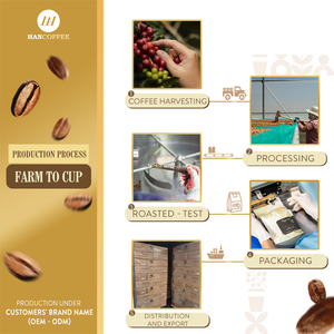 Grano de café vietnamita OEM Precio barato Exportador de café listo para enviar Arabica Robusta Mezcla Granos de café crudo - Product Image 4