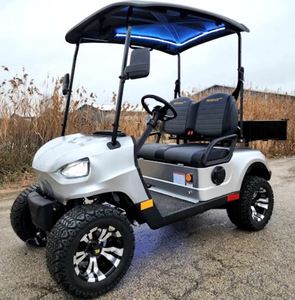 Carrito de Golf Eléctrico de 2 Plazas, Todoterreno, con Suspensión Alta, Vehículo Compacto para Pasajeros en Venta - Product Image 3