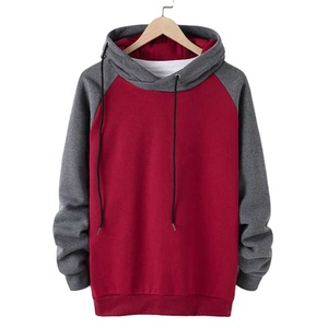 Factory supplies High Quality Men's cotton hoodie with Private Label and Global Supply for worldwide fashion brand growth. - Product Image 1