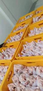 Pollo congelado de alta calidad Caja de carne de pollo fresca completa Embalaje Precios al por mayor Certificado Halal - Product Image 2