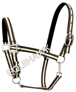 Top Selling Nubuck <b>Padded</b> Brass <b>Polish</b> English Saddle Horse Halter Excellent Features with PP Nylon for Equestrian - Product Image 6