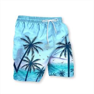 Short d'été avec logo personnalisé de haute qualité, maillot de bain, short de meilleure qualité avec taille élastique, short respirant pour hommes - Product Image 2