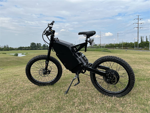 Bicicleta Eléctrica de Montaña SS30 con Motor Trasero de 3000W y 48V, Neumático Grueso de 19 Pulgadas, Alta Velocidad de 80 km/h, Alcance de 80 km, Más Vendida - Product Image 5