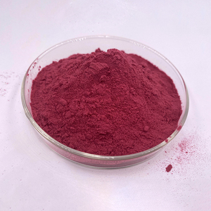 Extrait d'arona noir Chokeberry en poudre, extrait de Chokeberry noir, prix d'usine - Product Image 1