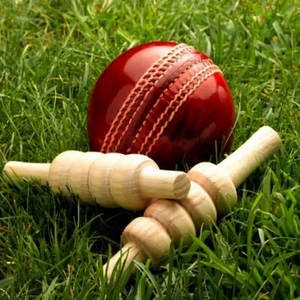 Balle de super-cricket en gros balle en cuir de cricket rouge balles dures de cricket en cuir véritable de qualité supérieure meilleures balles de cricket - Product Image 5