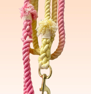 เชือกจูงผ้าฝ้าย - อุปกรณ์เสริม Nebula Tie Dye เชือกฝ้ายสีที่กําหนดเอง ชุดสายจูงสุนัขแฮนด์เมด ชุดสายจูงสัตว์เลี้ยง - Product Image 2