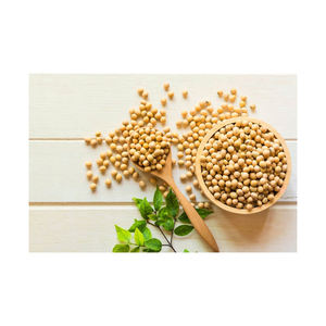 Soja non OGM de fournisseur fiable fèves de soja jaune haute protéine/soja non OGM du Brésil/haute - Product Image 5