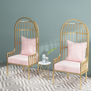 Nordiclobbyhighbackcasualsofachair, Ins Popularsinglepersonironbirdcagesofa Stoel, Lightluxylivingroomcoffeetable - Product Image 5