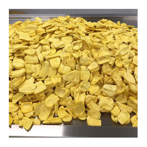 Chips de Jackfruit secos de Vietnam naturales auténticos de Primera calidad-Snack de sabor dulce crujiente a granel suministro de exportación al por mayor - Product Image 5