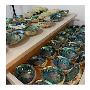 Conchas de abulón perfectas para diseño de portavelas costero Las conchas de abulón mejoran los estilos de decoración relajante - Product Image 3