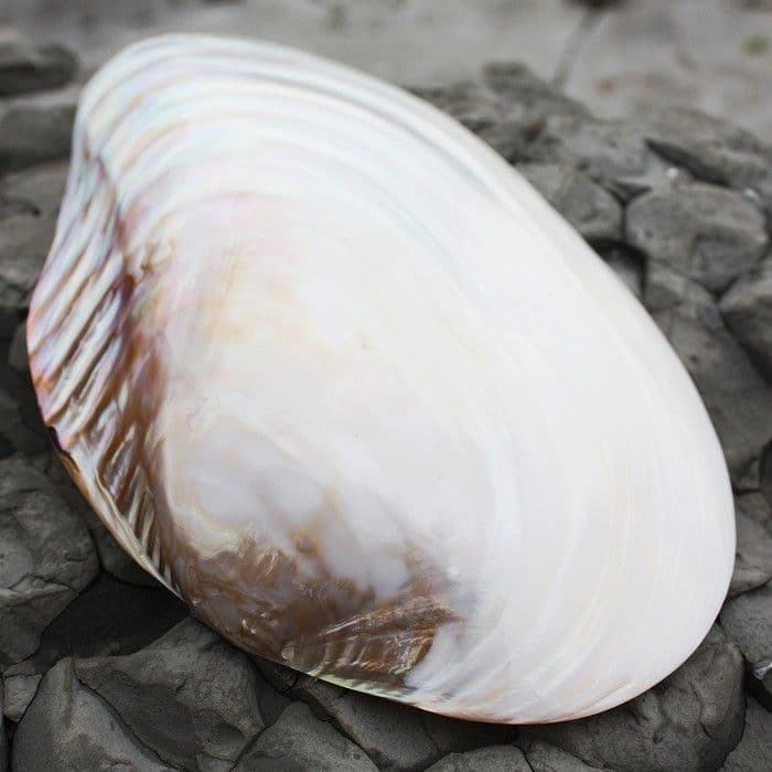 ธรรมชาติ