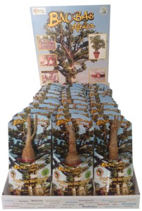 Kit pequeño Baobab (Adansonia Digitata) - Product Image 6