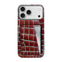 Étui de téléphone double carte pour iPhone 18 17 Pro en cuir véritable d'alligator/crocodile exotique avec aimant