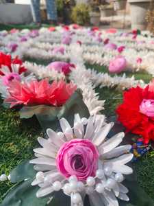 Chadar de Entrada Nupcial Jasmine con Borde Floral Completo, Toldo Phoolon Ki Chaddar para Bodas Indias/Punjabi/Pakistaníes/Nikah - Product Image 4