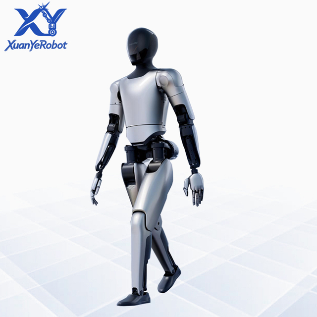 Humanoid Robots for Family Companionship and Educational Purposes, Offering High Flexibility and Supporting Further Development.