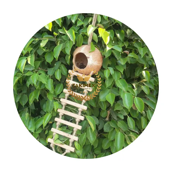 Milieuvriendelijk 100% Natuur Kokosnoot Vogelhuis Kokosnoothuis Vogelnest Met Ladder Gemaakt In Vietnam