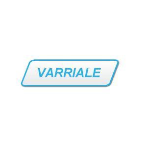 RENATO VARRIALE & C. logo