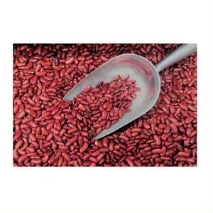 Meilleur en stock Haricots rouges Pinto en vrac naturels Haricots rouges mouchetés séchés économiques pour l'alimentation Prix bon marché - Product Image 2