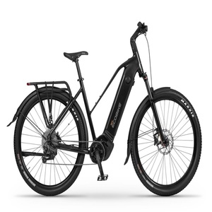 Vélo électrique le plus vendu Ecobikes Expedition Midnight Black SUV - Product Image 1