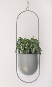 Nouveau pot de fleurs de jardin pour la décoration intérieure Nouveau pot de fleurs nouveau design en vente de gros pour jardinière de table - Product Image 4