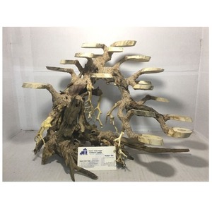 ผลิตภัณฑ์ที่ดีที่สุด-ต้นไม้แคระบอนไซสำหรับตกแต่งตู้ปลา - Product Image 6