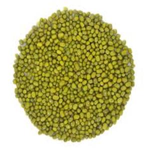 Fresh Selling Mung <b>Beans</b> for Exports - Product Image 1