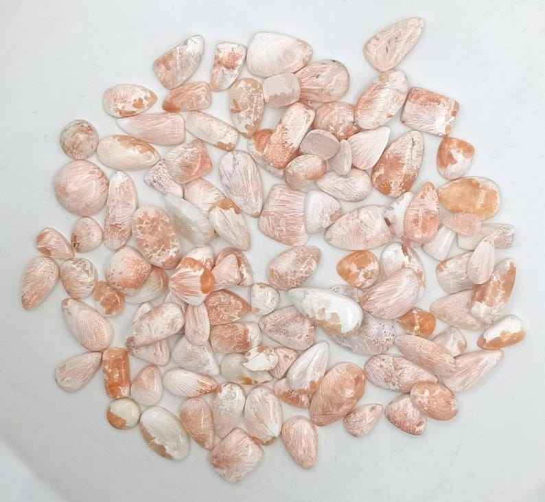 เช่นเดียวกับในภาพ