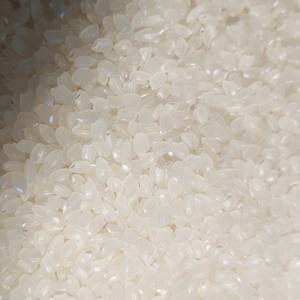 Premium Pacific Rice CALROSE Japonica Arroz Blanco de Grano Medio y Corto de VILACONIC JSC para Uso Alimentario-WhatsApp + 84398885178 - Product Image 5