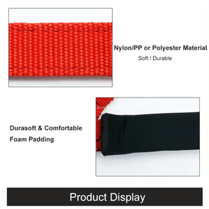 Produits équestres professionnels pour chevaux Conception de matériaux en PVC souple et étanche Ensemble de licou de cheval de style occidental avec raccord en laiton - Product Image 3